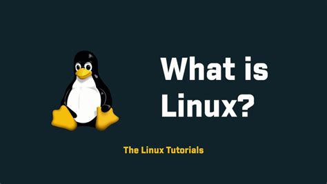 Image result for What Is Linux Computer