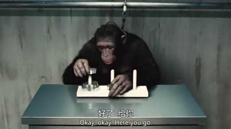 科幻神作《猩球崛起2》猩猩会说话-新华网