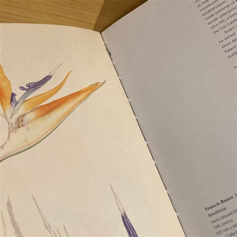 Treasures of Botanical Art: Icons from the Shirley Sherwood and Kew ...