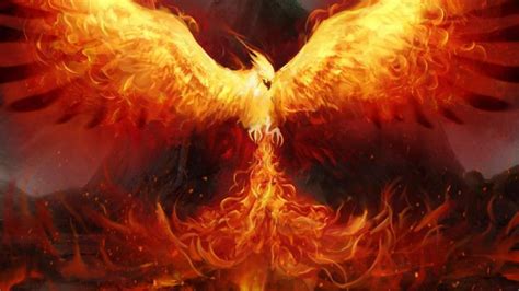 Custom Task Evaluation - Phoenix HD Wallpaper Vector Art