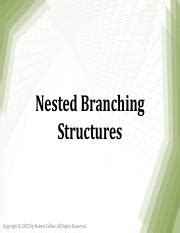 Image result for Nested Branching Statements Python Example
