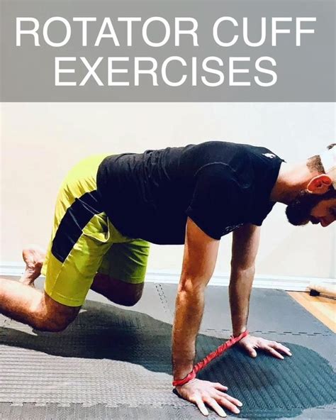 Image result for Rotator Cuff Exercises