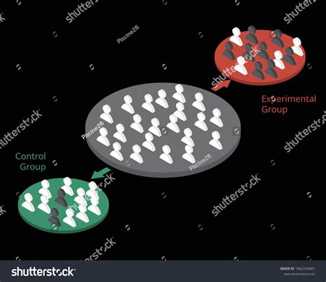 Randomized Control Group Experimental Group Experimentation Stock Vector (Royalty Free ...