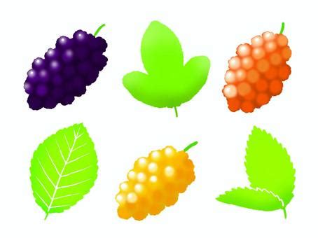 Image result for Un Sample Script