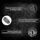 BeastLife Creatine Monohydrate | 33 Servings | NABL Lab Tested ...