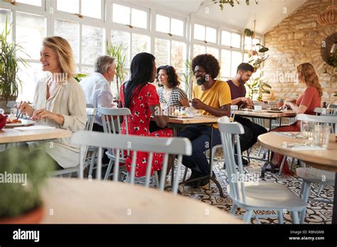 Busy Restaurant 的图像结果