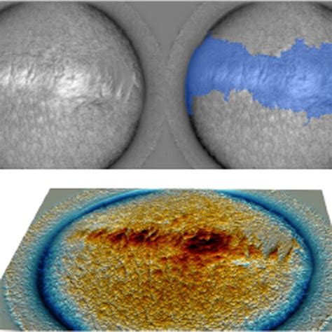 Equirectangular Depth Map 的图像结果