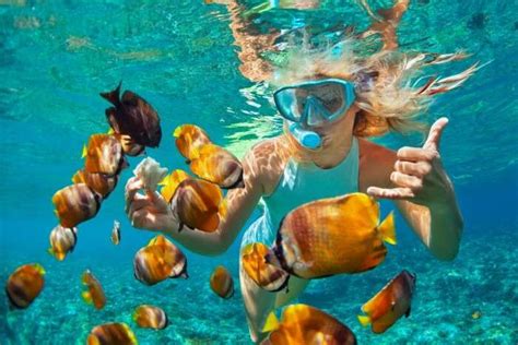 Experience Snorkeling In Queensland For An Enriching Vacay