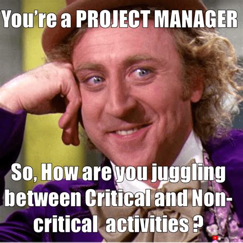 Image result for Project Management Fun