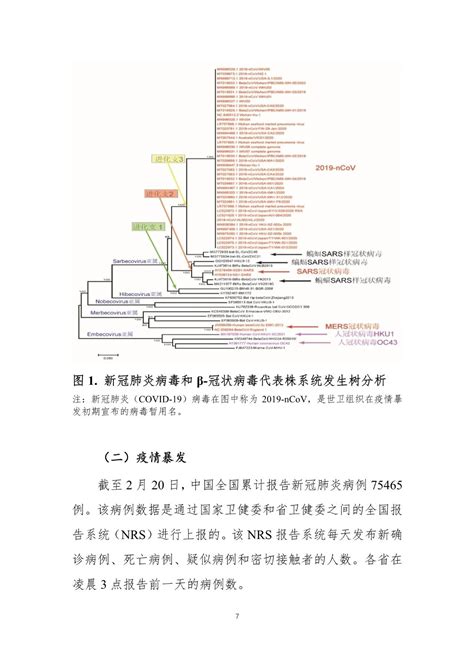 中国-世界卫生组织新型冠状病毒肺炎（COVID-19）联合考察报告