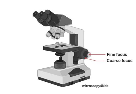 Image result for Course Focus Microscope Function