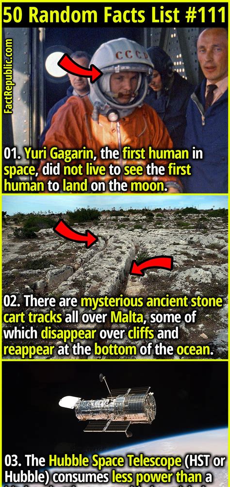 Image result for Random Facts List