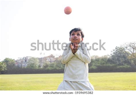 Catching 的图像结果