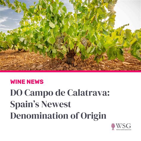📣 Breaking news! Learn more about Spain's Newest Denomination of Origin ...