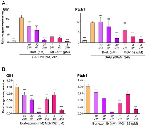 The Proteasome and Cul3-Dependent Protein Ubiquitination Is Required ...