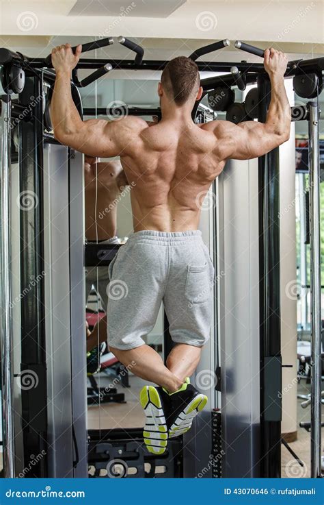 Gym Workout Man 的图像结果