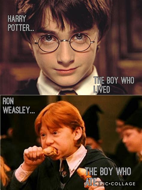 Funny Pictures Harry Potter