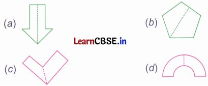 Image result for Symmetry Reflection and Pattern Chapter of Class 4