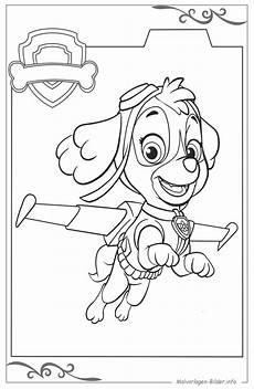 malvorlagen paw patrol sky kleurplaat paw patroller paw patrol kostenlose malvorlage malvorlagen paw patrol sky kleurplaat paw patroller paw patrol kostenlose malvorlage