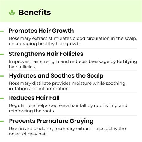 Buy Best Rosemary Water for Hair Growth & Skin | Avimee Herbal