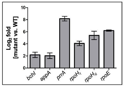 A Complex Network of Sigma Factors and sRNA StsR Regulates Stress ...