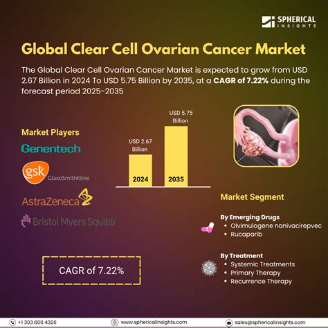 Clear Cell Ovarian Cancer Market Size, Share, Forecast To 2035