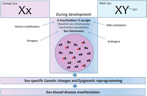 Image result for Gene Expression Reprogramming