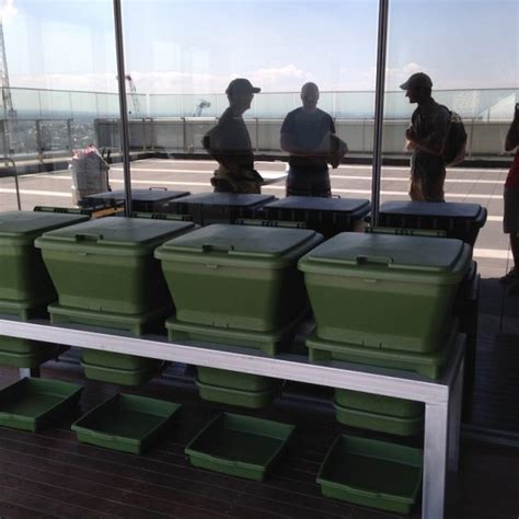 Commercial Worm Production 的图像结果