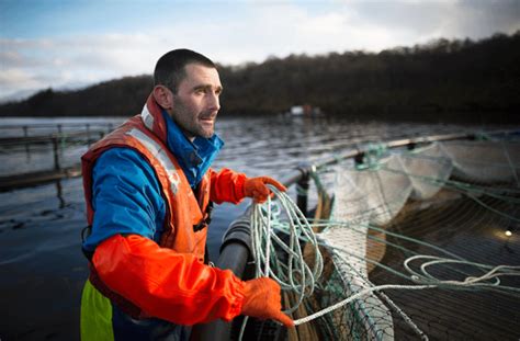 How to Start Fish Farming 的图像结果