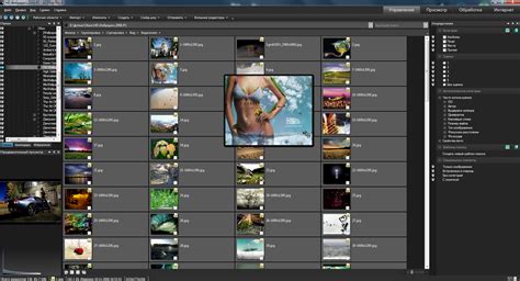 Image result for ACDSee 8 Pro License Key