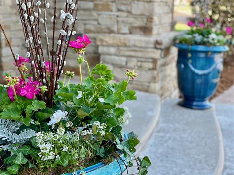 Deer-Resistant Plants for Your Container Garden — Adorn