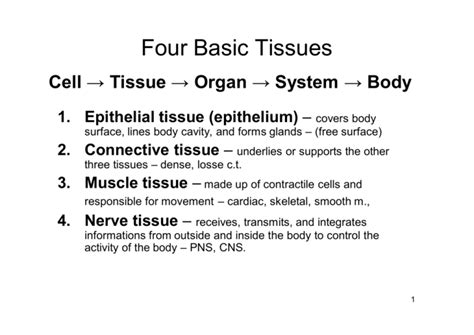Basic Tissues 的图像结果