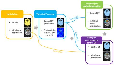 Proton Therapy Adaptation of Perisinusoidal and Brain Areas in the ...