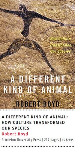 How culture shaped evolution