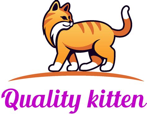 Persian Doll Face in Delhi | QualityKitten.in