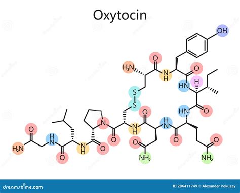 Chemical Formula Oxytocin Diagram Medical Science Royalty-Free Illustration | CartoonDealer.com ...
