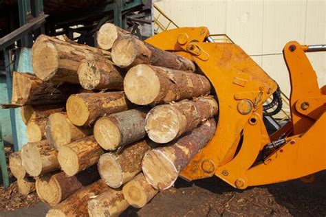 Image result for Wood Processing