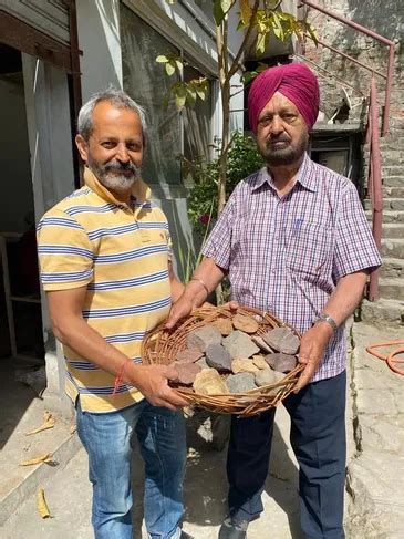 Tethys Fossil Museum - Home