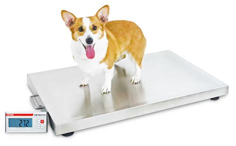 Detecto | VET550-Medium-to-Large-Size-Animal-Veterinary-Scale