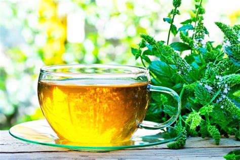 This Is What A Cup of Herbal Tea Does To Your Health. Look Inside ...