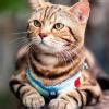 the angles of triangle are in a ratio of 2 3 5 which type of triangle ...