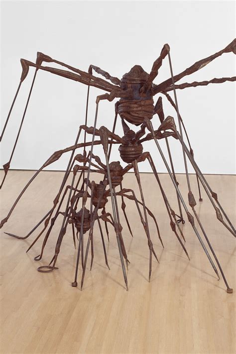 Louise Bourgeois Spiders | Meer