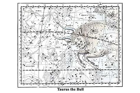 Taurus Is One Of The Constellations Of The Zodiac Its | Desertcart INDIA