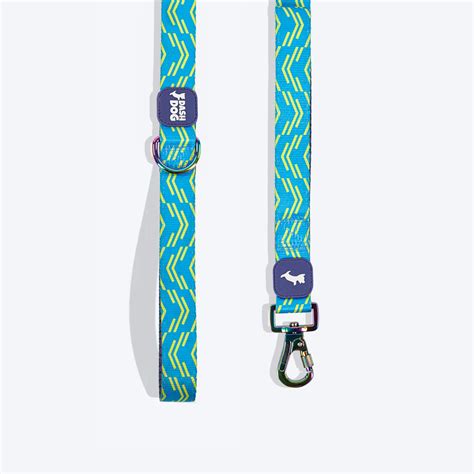 Buy Dash Dog Vector Dual Handle Leash for Dogs - Aqua Blue – Heads Up ...
