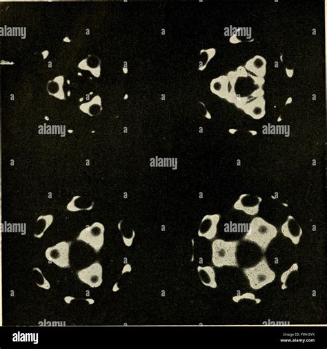 Electron Microscope Drawing 的图像结果