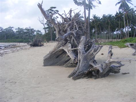 THE BEST Places to Visit in Wandoor (2026) - Must-See Attractions