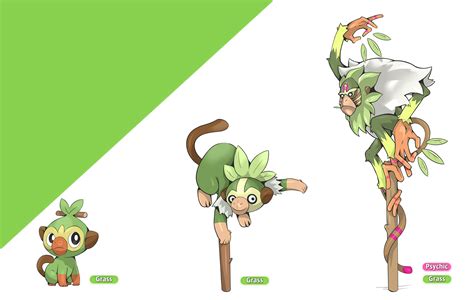 Image result for Grookey Evolution Line