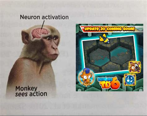 How Monkey Neuron Activation Enhances Visuospatial Sensitivity | We ...