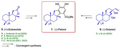 Synthesis of Marine (−)-Pelorol and Future Perspectives