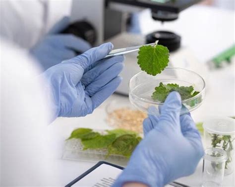 Shri Ramswaroop Memorial University | SRMU